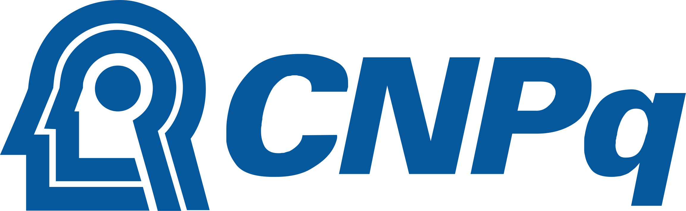 Conselho Nacional de Desenvolvimento Científico e Tecnológico (CNPq)